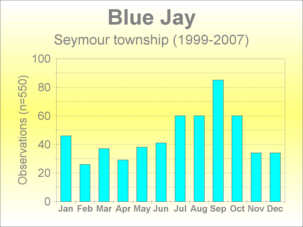 blue jay [109 kb]