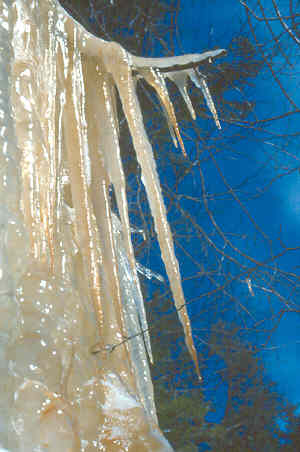 Adirondack icicles [20 kb]