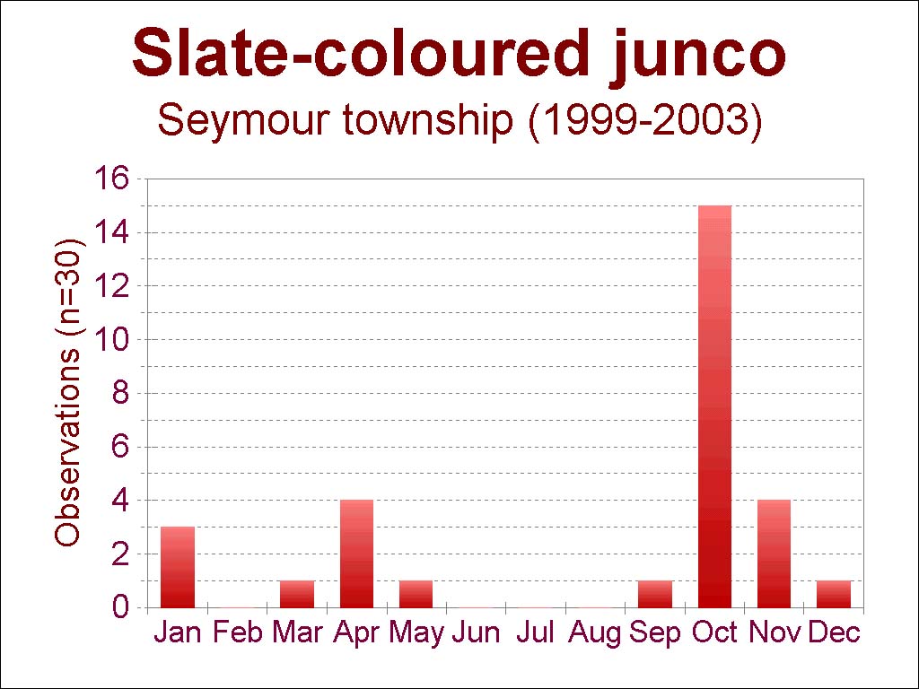 slate-coloured junco [early data, 110 kb]